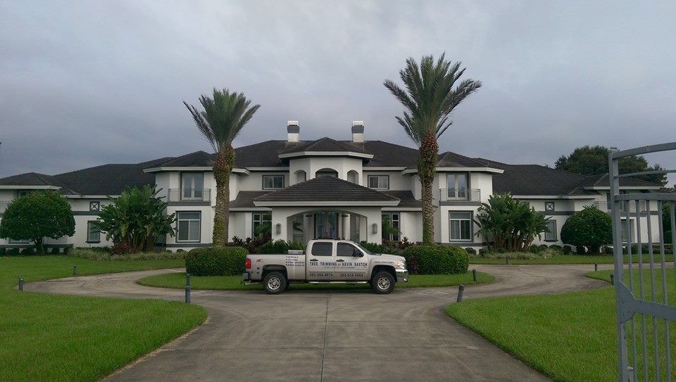 Palms at lemons house Why Choose Us<br />