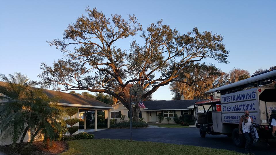 renditionDownload (4) Your Back Yard is Our Gem<br />